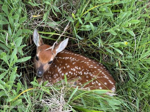 Tiny photo for 644 Bayshore Drive, Wilmington, NC 28411 (MLS # 100540889)