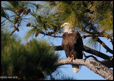 Tiny photo for 644 Bayshore Drive, Wilmington, NC 28411 (MLS # 100540889)