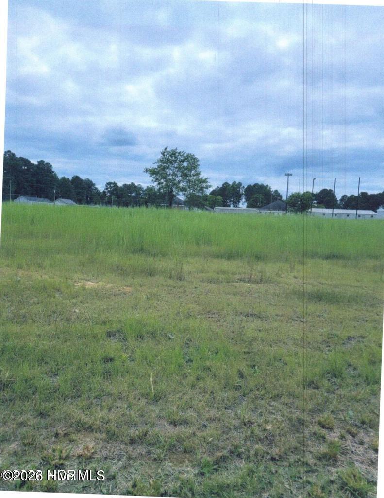 Photo of 107 Amber Court, Whitakers, NC 27891 (MLS # 100602615)