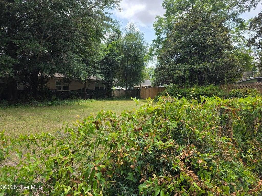 Photo of 449 Clay Street, Wilmington, NC 28405 (MLS # 100580661)
