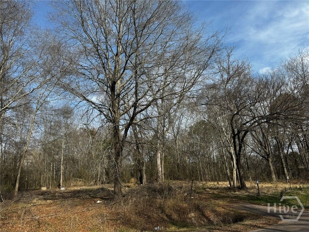 Photo of 135 Joe Carey Road, Winterville, GA 30683 (MLS # CL351194)