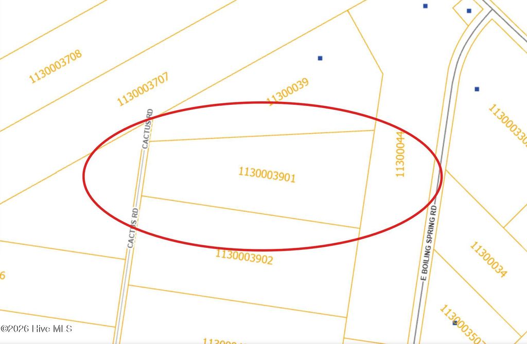 Photo of 48 Cactus Road, Boiling Spring Lakes, NC 28461 (MLS # 100561122)