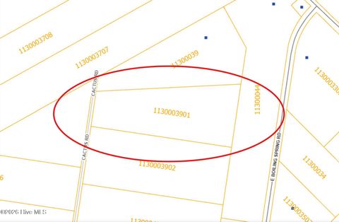 Tiny photo for 48 Cactus Road, Boiling Spring Lakes, NC 28461 (MLS # 100561122)