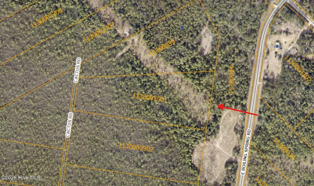 Photo of 48 Cactus Road, Boiling Spring Lakes, NC 28461 (MLS # 100561122)