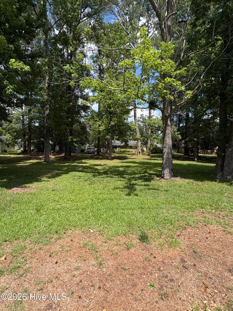 Vacant Land For Sale - 1 Rodman Road<br/> Beaufort County, Washington, NC 27889