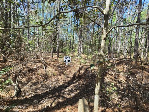 Tiny photo for 31 Renee Drive, Hampstead, NC 28443 (MLS # 100567138)