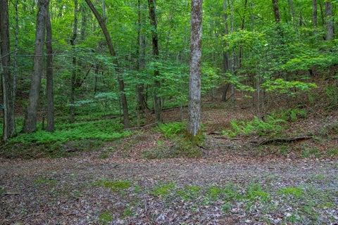 Vacant Land For Sale - 00 Laurel Mountain Road<br/> Brasstown, NC 28902