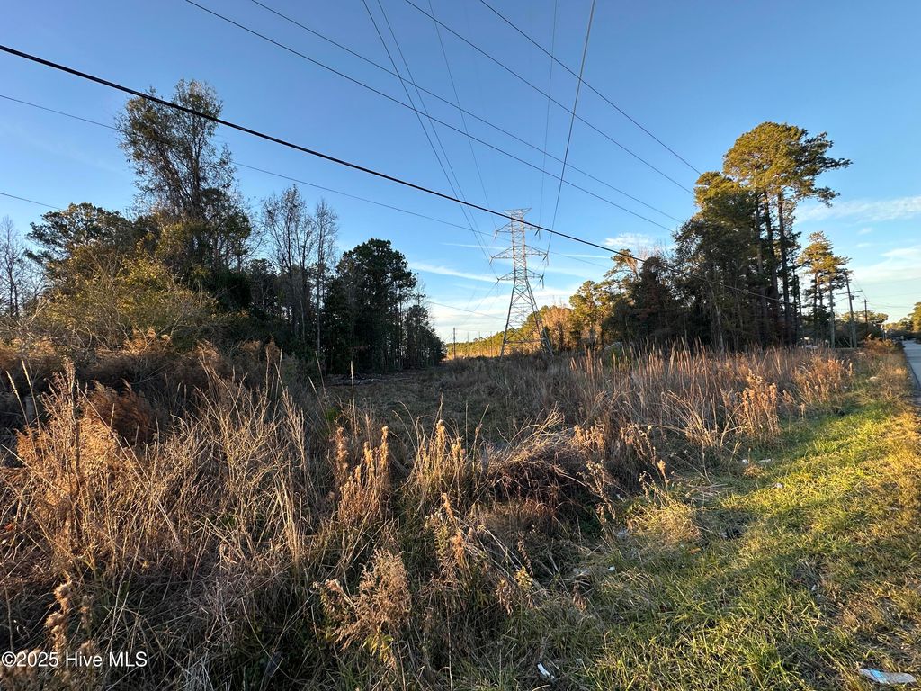 Photo of 209 Lakewood Drive, Jacksonville, NC 28546 (MLS # 100545769)