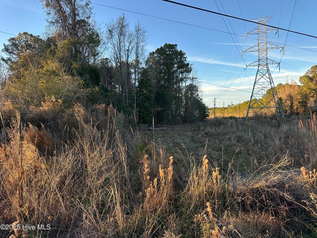 Photo of 209 Lakewood Drive, Jacksonville, NC 28546 (MLS # 100545769)