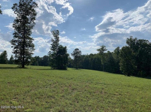Vacant Land For Sale - 321 Whistle Hill Road<br/> Cameron, NC 28326