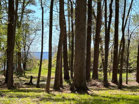 Vacant Land For Sale - 115 Waterford Drive<br/> Bath, NC 27808