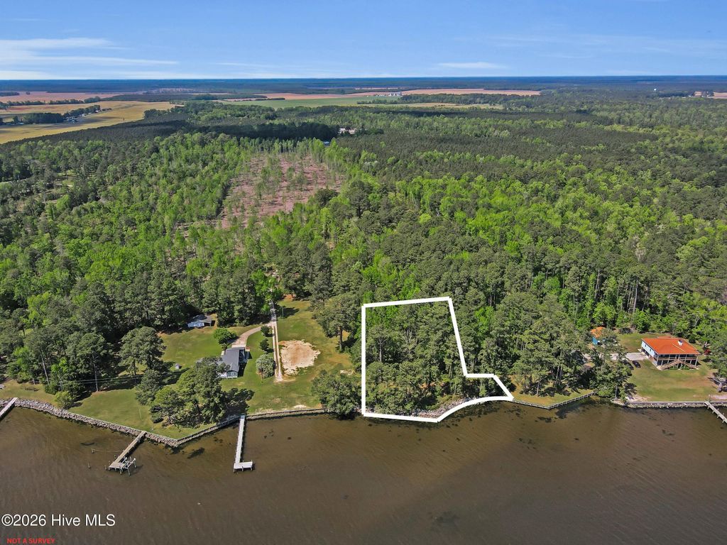 Photo of 235 Myrtlewood Lane, Bayboro, NC 28515 (MLS # 100571591)