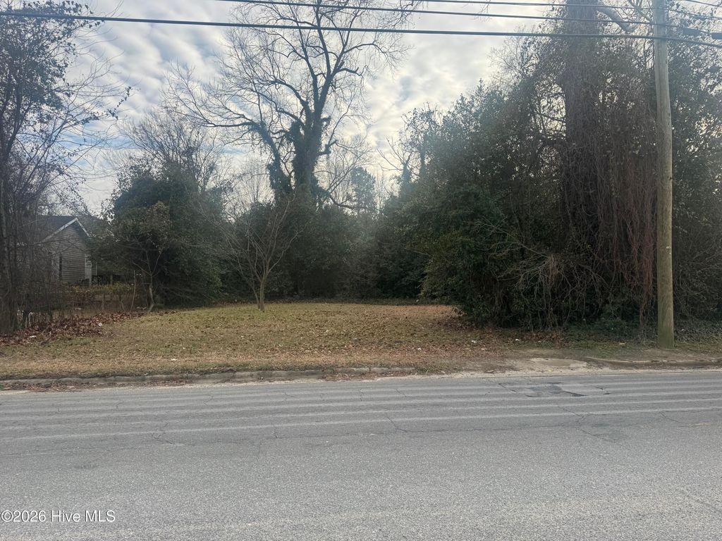 Photo of 812 E Elm Street, Goldsboro, NC 27530 (MLS # 100552912)