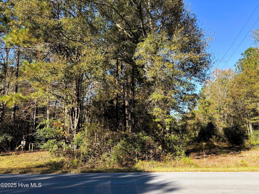Photo of 00 Hines Farm Road, Jacksonville, NC 28540 (MLS # 100540744)