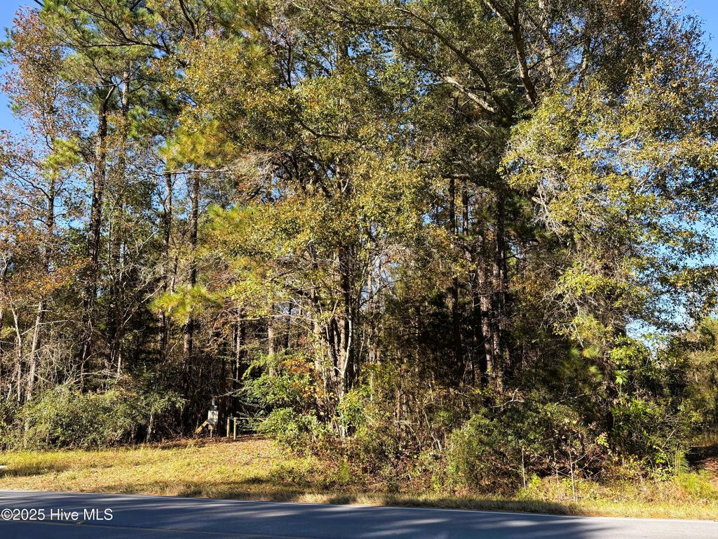 Photo of 00 Hines Farm Road, Jacksonville, NC 28540 (MLS # 100540744)