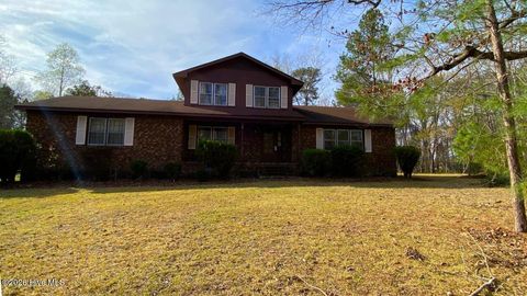 Photo of 816 Birchwood Drive, Nashville, NC 27856 (MLS # 100560590)