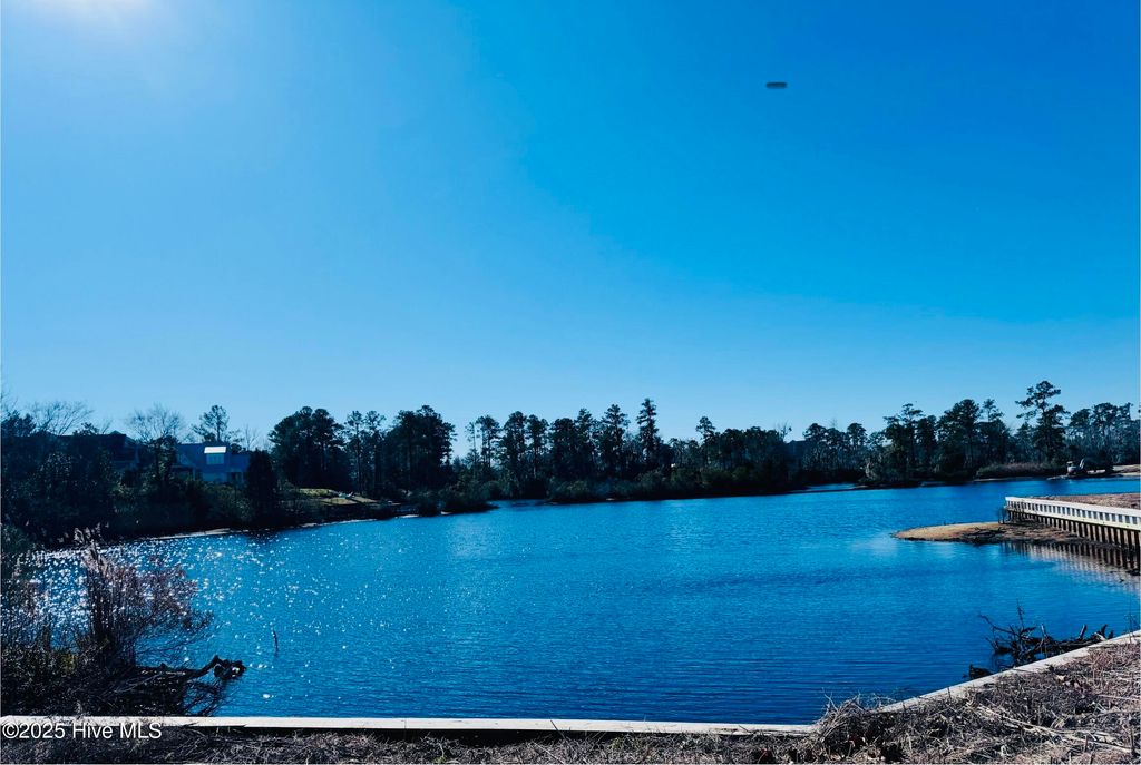 Photo of 101 Shoreview Drive, New Bern, NC 28562 (MLS # 100481482)