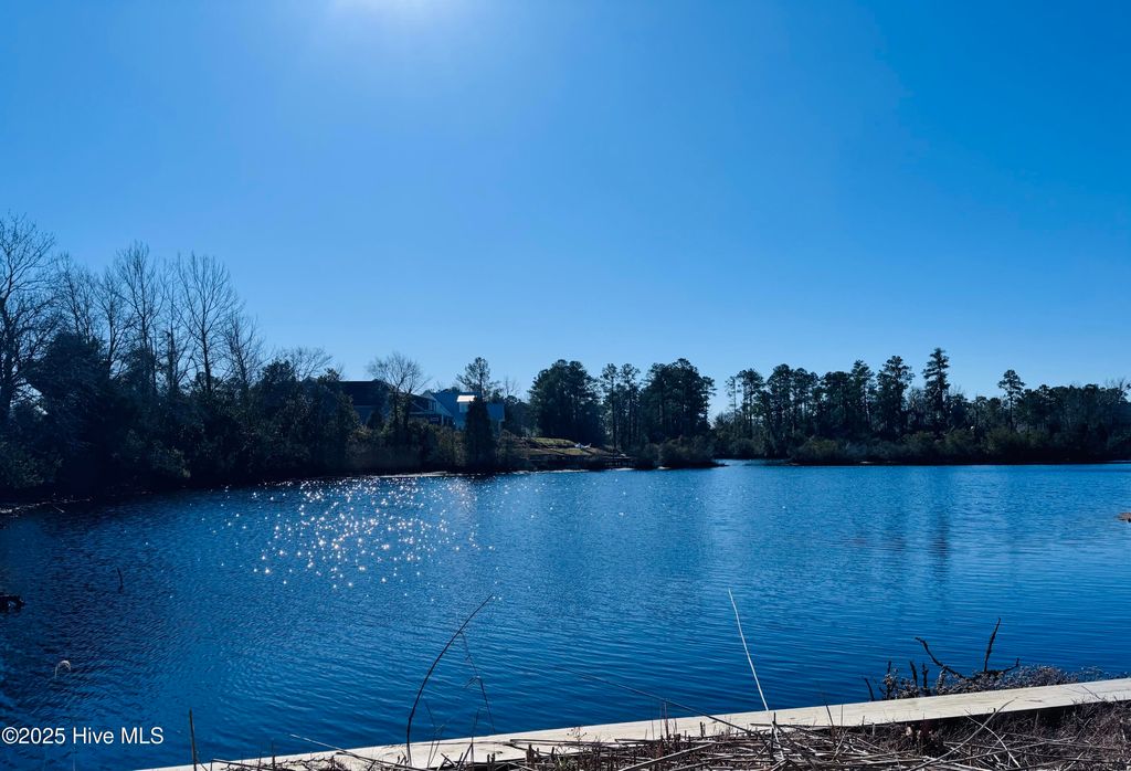 Photo of 101 Shoreview Drive, New Bern, NC 28562 (MLS # 100481482)