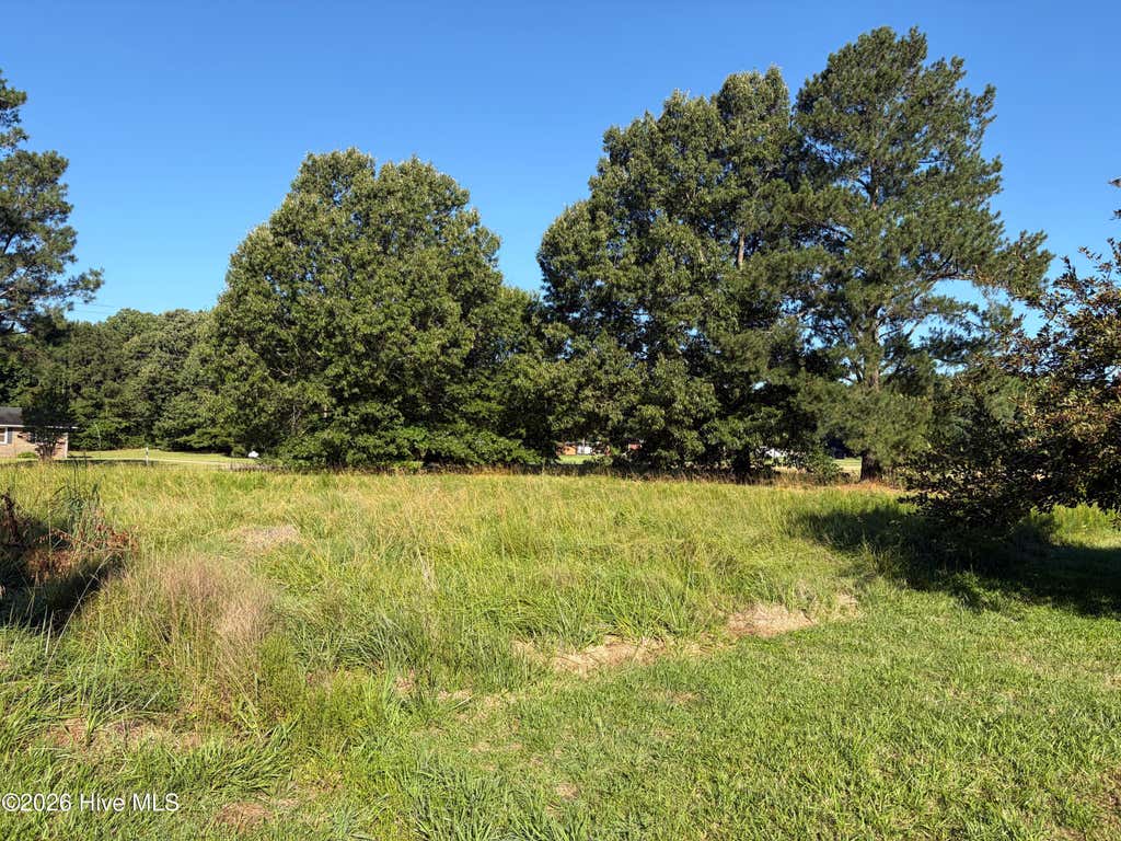 Photo of 249 Woodland Church Road, Hertford, NC 27944 (MLS # 100595580)