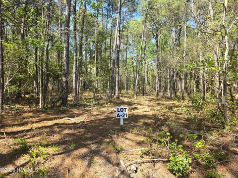 Tiny photo for 21 Renee Drive, Hampstead, NC 28443 (MLS # 100567032)