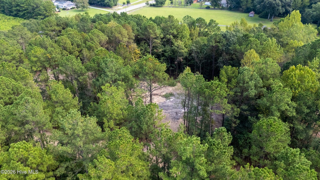 Photo of 0 Us Hwy 117 N #Lot 1, Willard, NC 28478 (MLS # 100604868)