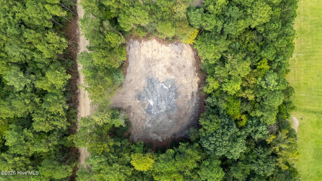 Photo of 0 Us Hwy 117 N #Lot 1, Willard, NC 28478 (MLS # 100604868)