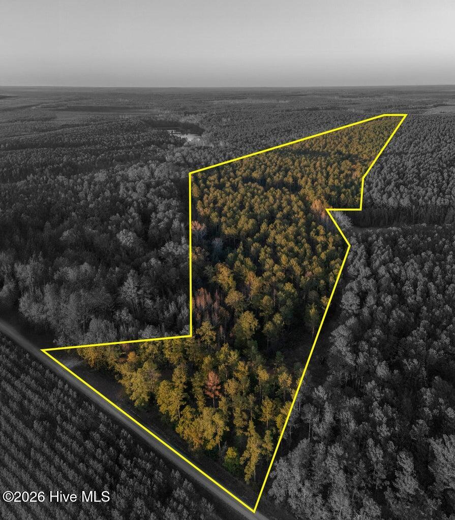 Photo of 0 Barr Chapel Road, Edgefield, SC 29824 (MLS # 100608765)
