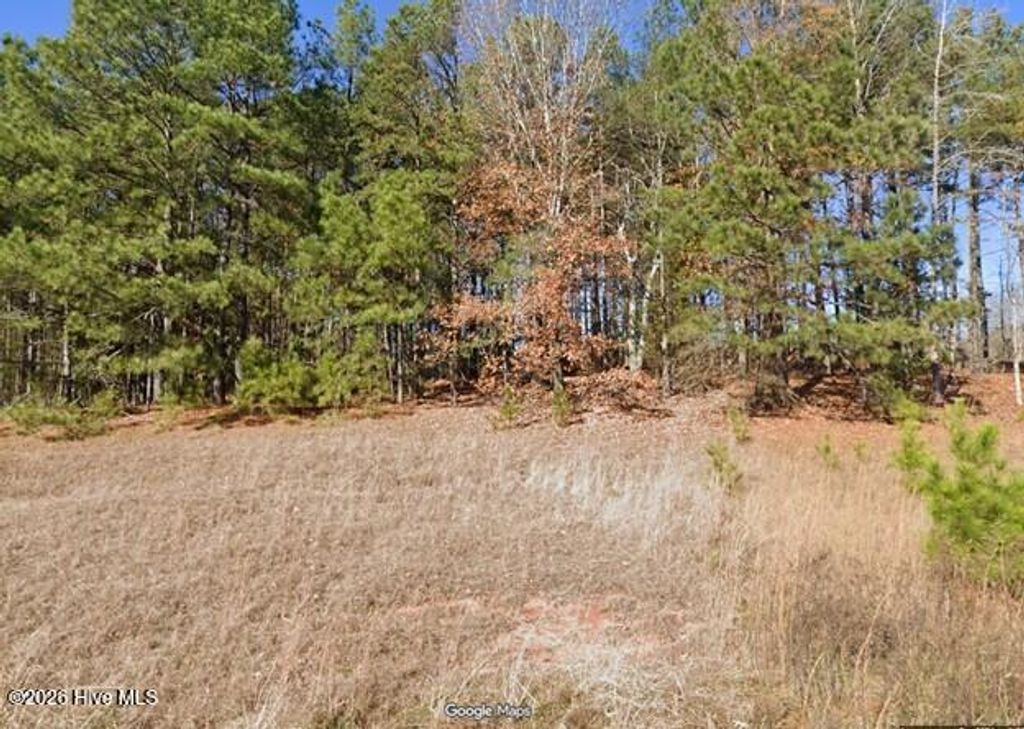 Photo of 8224 Buckhorn Landing Road, Sims, NC 27880 (MLS # 100563728)