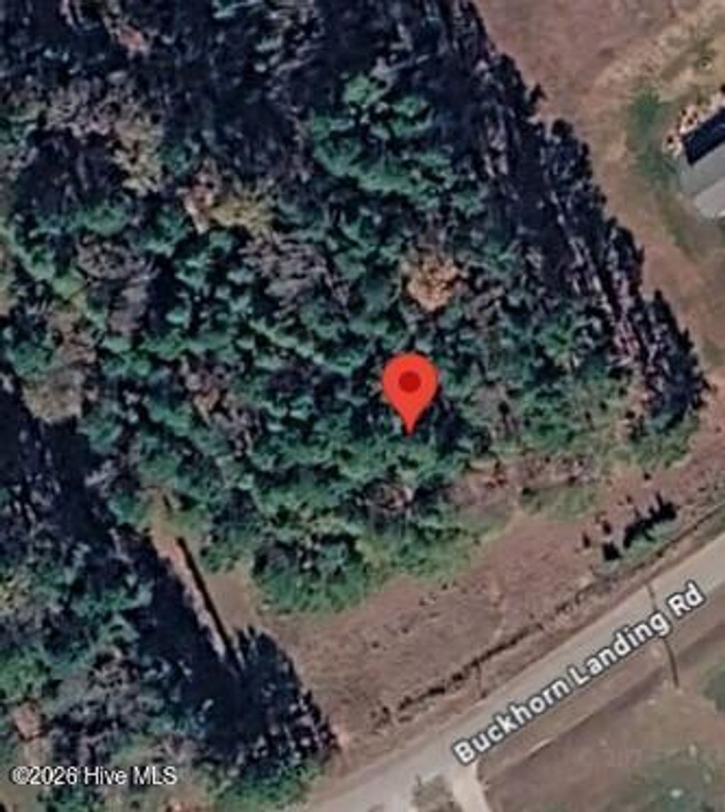 Photo of 8224 Buckhorn Landing Road, Sims, NC 27880 (MLS # 100563728)