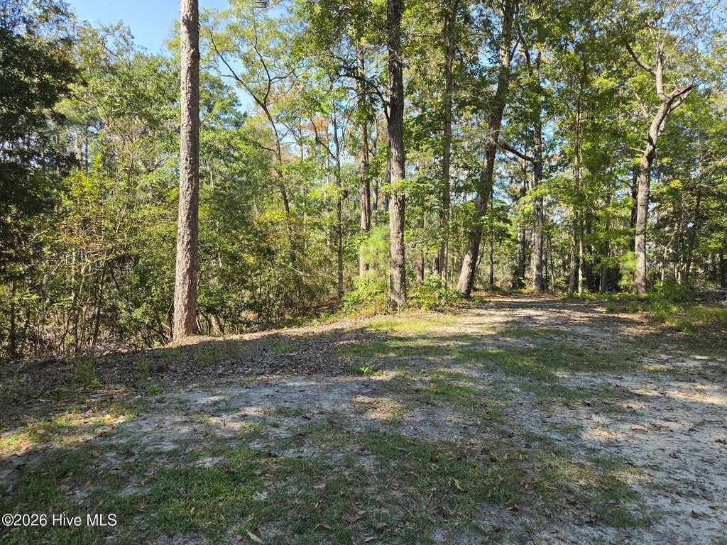 Photo of 321 Bay View Drive, Chocowinity, NC 27817 (MLS # 100610510)