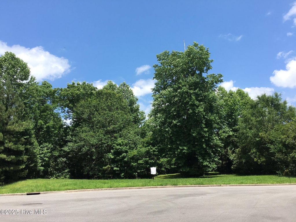 Photo of 404 Mellen Court, New Bern, NC 28562 (MLS # 100569461)