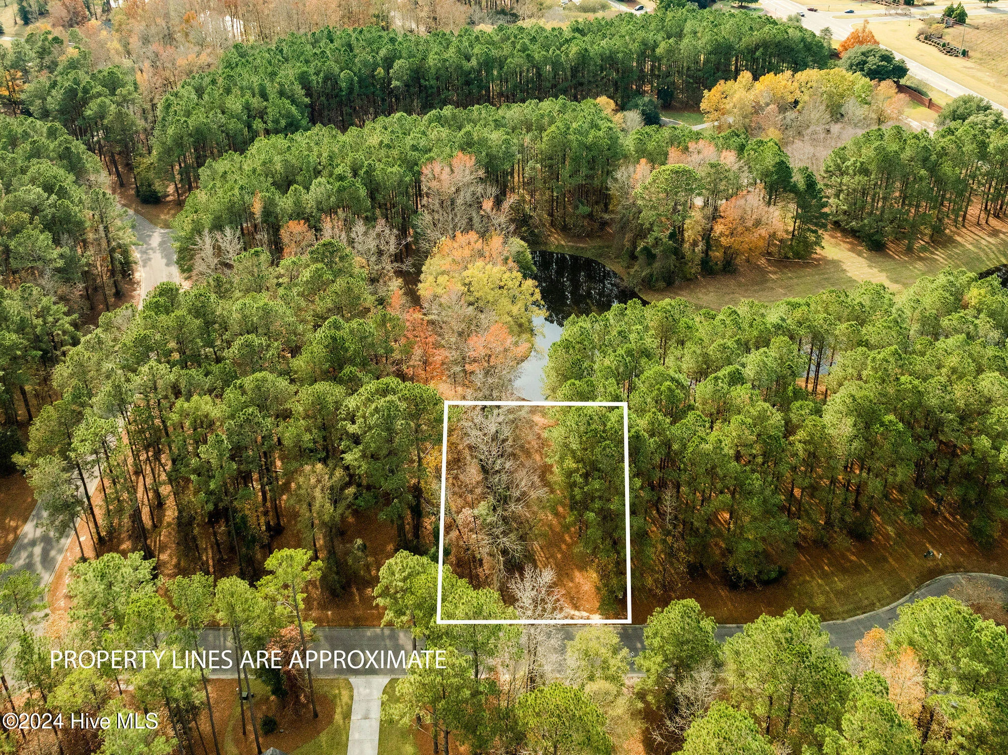 111 Loblolly Court