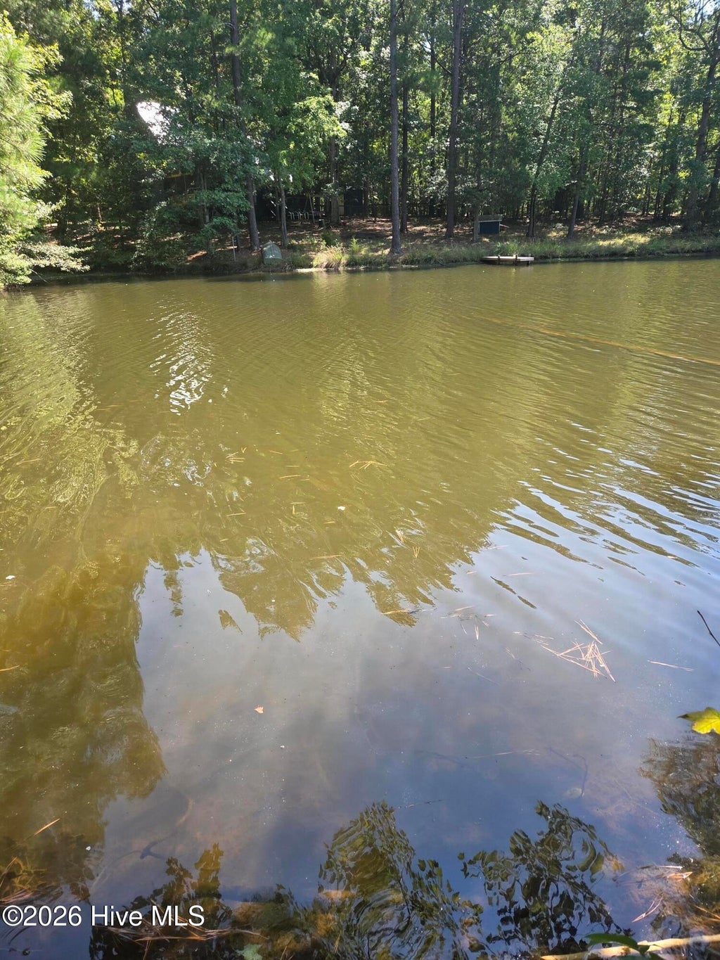 Photo of 45 Appaloosa Lake Drive, Carthage, NC 28327 (MLS # 100602815)