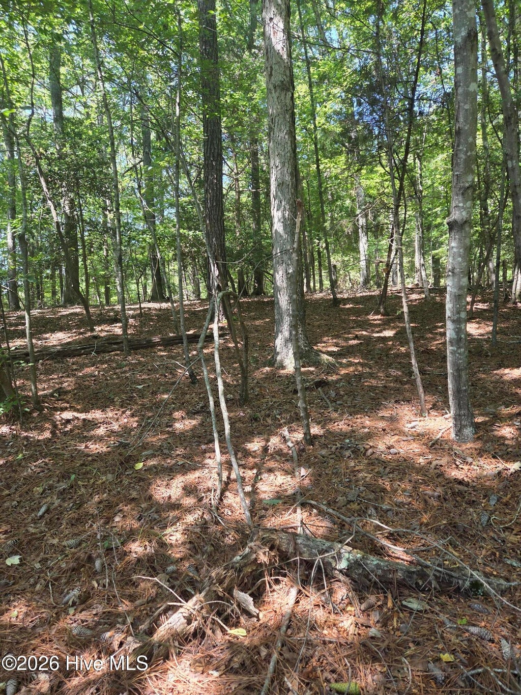 Photo of 45 Appaloosa Lake Drive, Carthage, NC 28327 (MLS # 100602815)