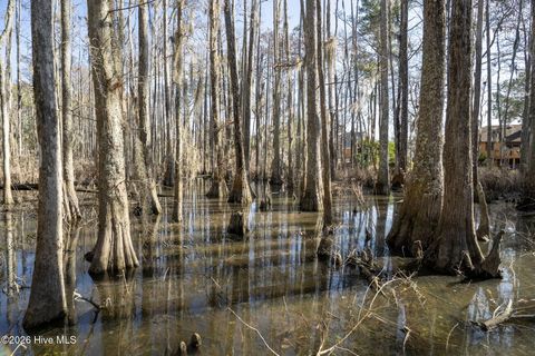 Tiny photo for 4212 Appleton Way, Wilmington, NC 28412 (MLS # 100550743)