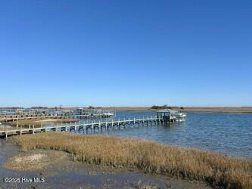 Photo of 449 Heart Pne Avenue, Wilmington, NC 28411 (MLS # 100570193)