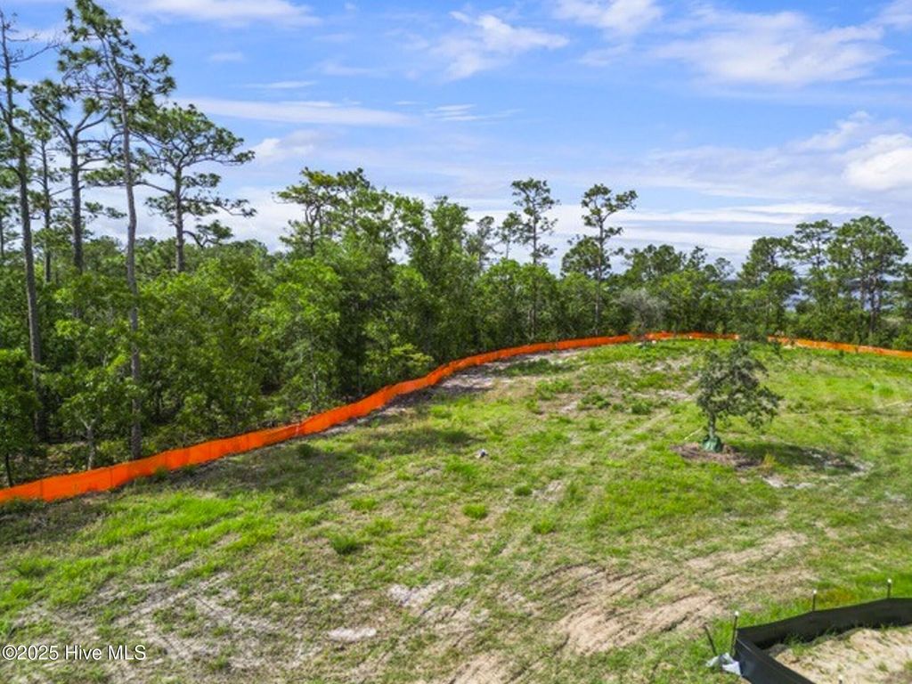 Photo of 601 Caisson Run, Wilmington, NC 28412 (MLS # 100511529)