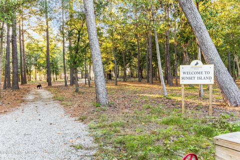 Tiny photo for 1717 Herons View Drive, Wilmington, NC 28401 (MLS # 100590227)