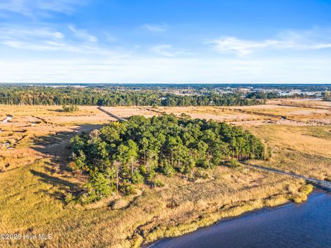 Tiny photo for 1717 Herons View Drive, Wilmington, NC 28401 (MLS # 100590227)