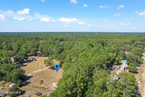 Tiny photo for 2294 Hoffman Road SW, Supply, NC 28462 (MLS # 100607039)