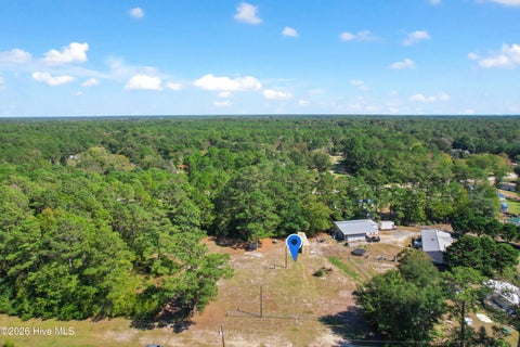 Tiny photo for 2294 Hoffman Road SW, Supply, NC 28462 (MLS # 100607039)