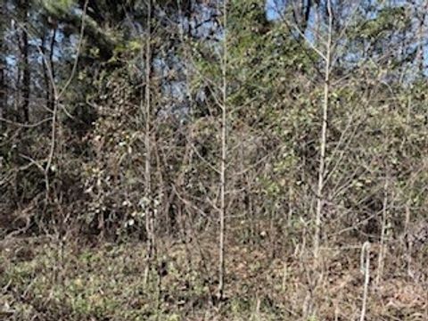 Vacant Land For Sale - 152-155 Dogwood Lane<br/> Midway, GA 31320