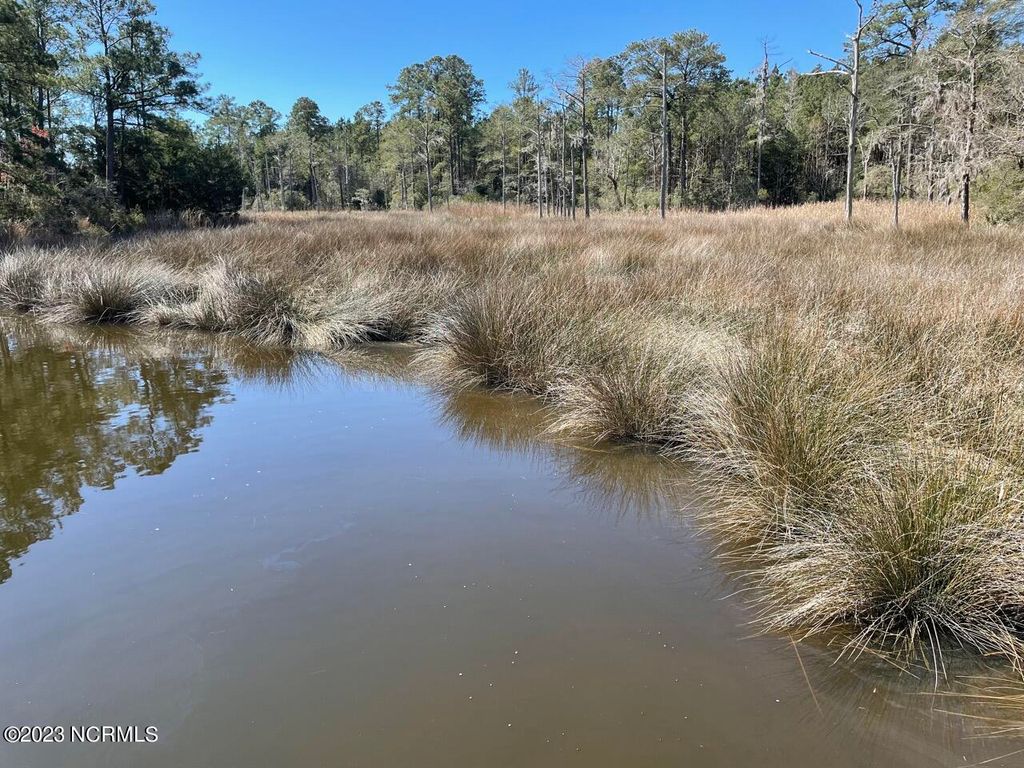 Photo of 330211 Garbacon Drive, Beaufort, NC 28516 (MLS # 100374410)