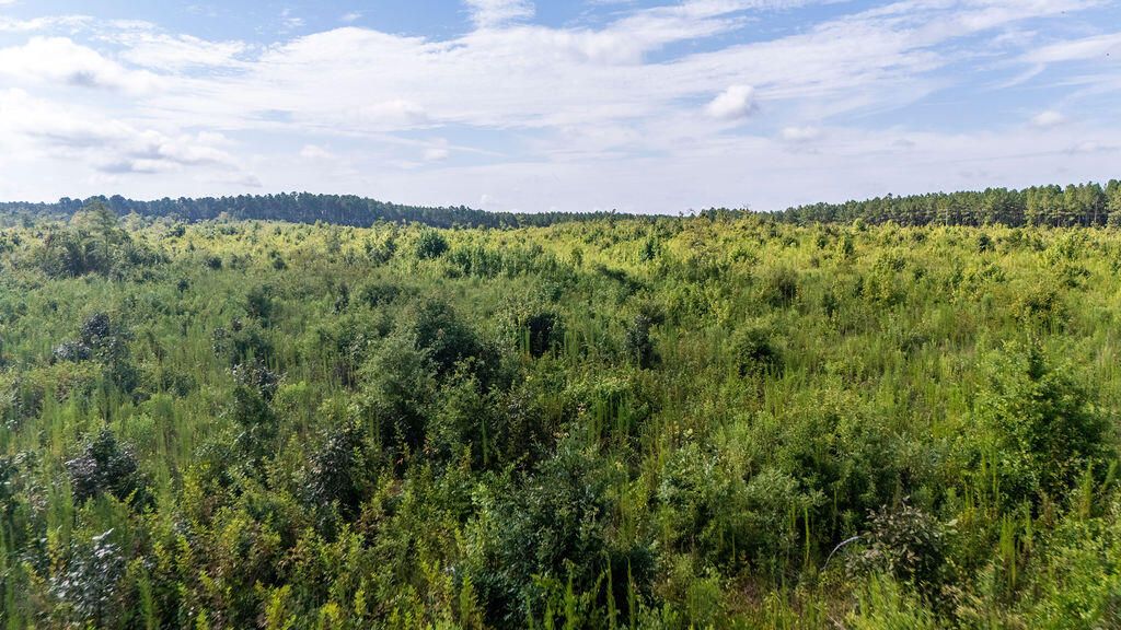 Photo of 20 Ouzts Road, Edgefield, SC 29824 (MLS # 550308)