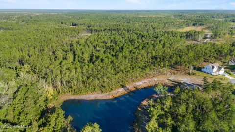 Tiny photo for 97 Keeneland Court, Rocky Point, NC 28457 (MLS # 100538147)