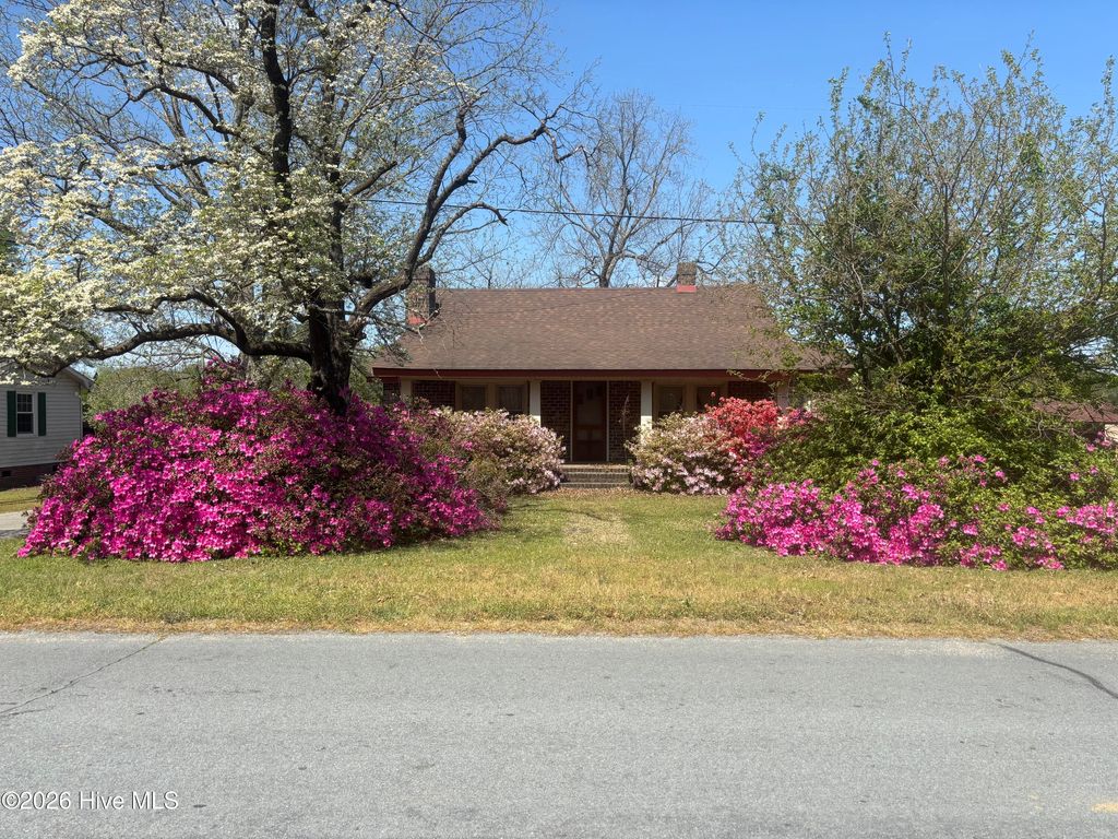 Photo of 207 Kimbrough Road, Clinton, NC 28328 (MLS # 100570318)