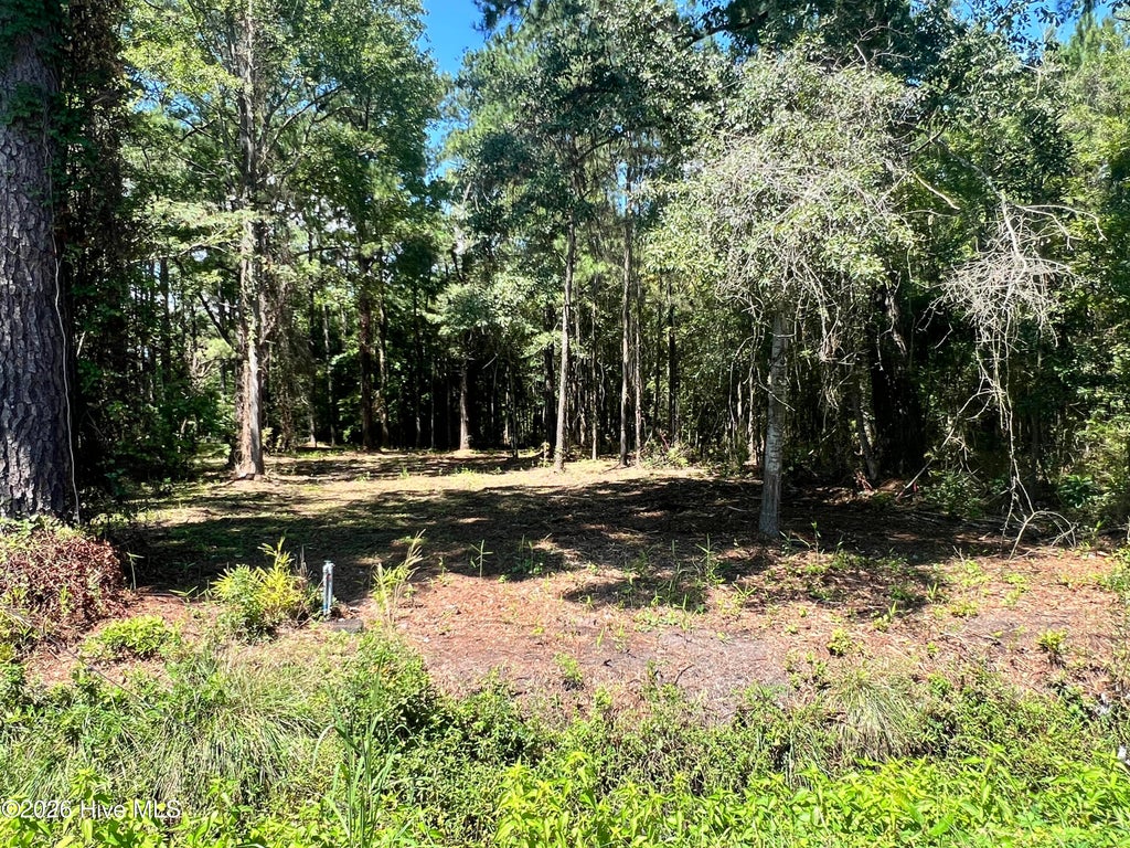 Photo of 3 Elm Street, Belhaven, NC 27810 (MLS # 100600172)