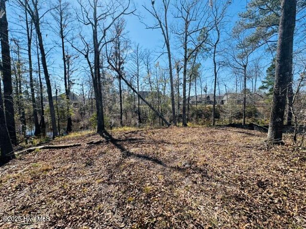 Photo of 9011 River Glenn Loop NE, Leland, NC 28451 (MLS # 100493781)