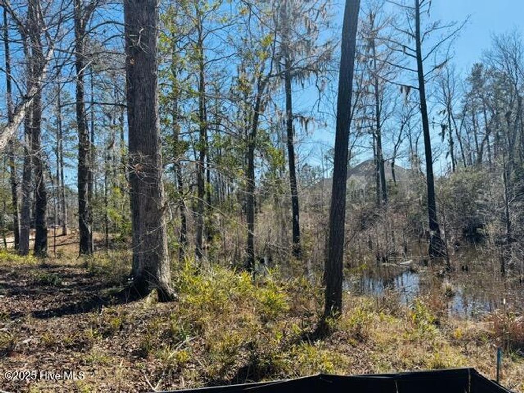 Photo of 9011 River Glenn Loop NE, Leland, NC 28451 (MLS # 100493781)