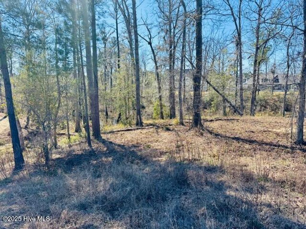 Photo of 9011 River Glenn Loop NE, Leland, NC 28451 (MLS # 100493781)